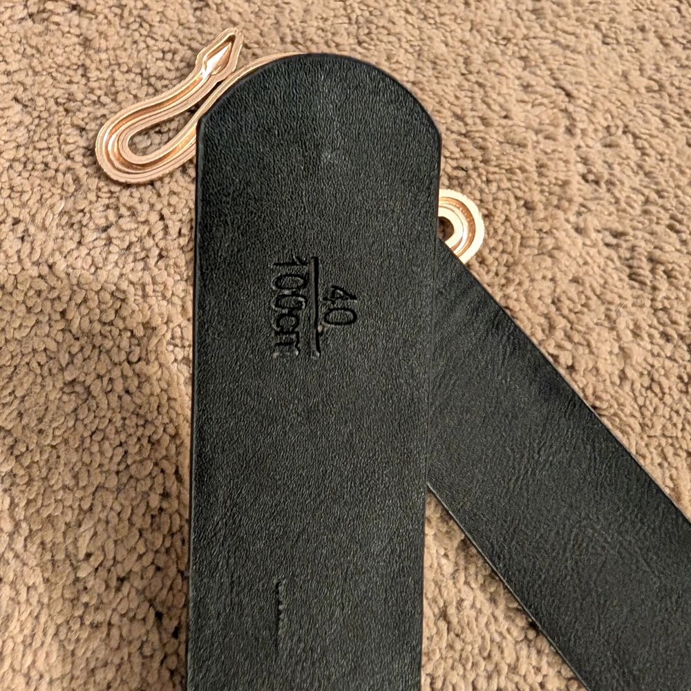 Black Faux Leather Snake Buckle Belt | Gold Double Serpent Statement Waist - Picture 3 of 4